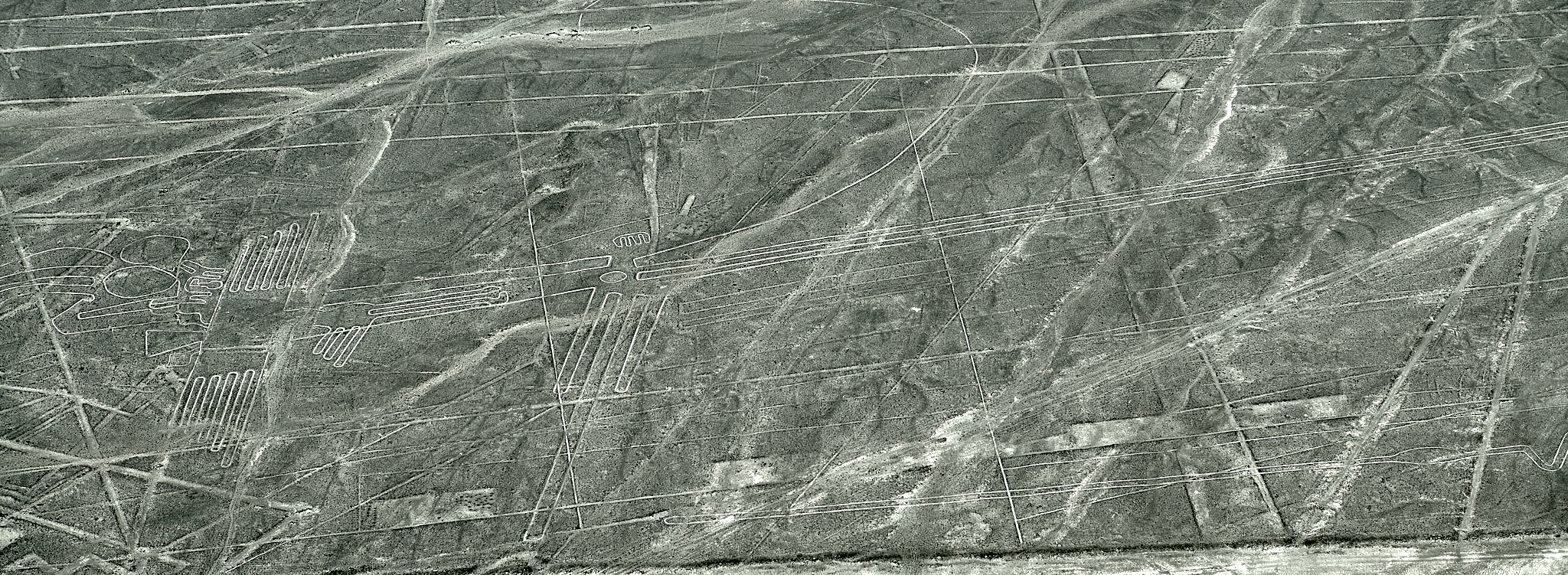 20200305 359 [페루] 나스카 라인